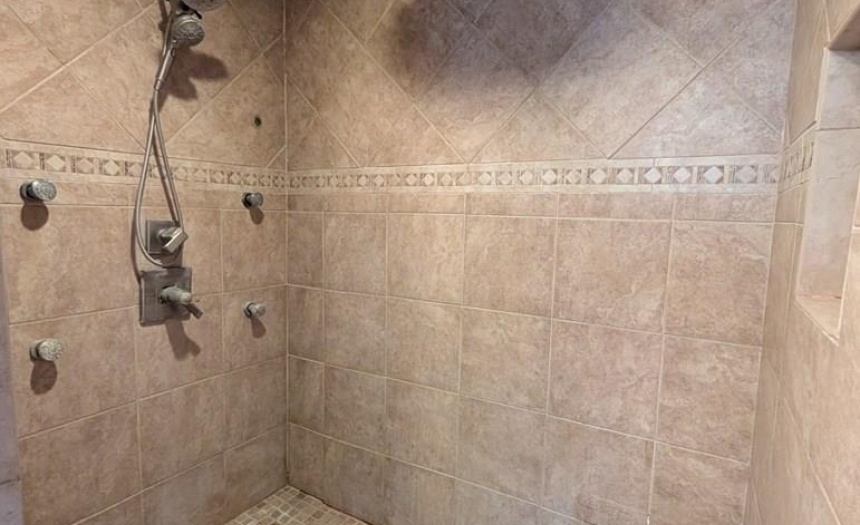 Master Bath seperate shower