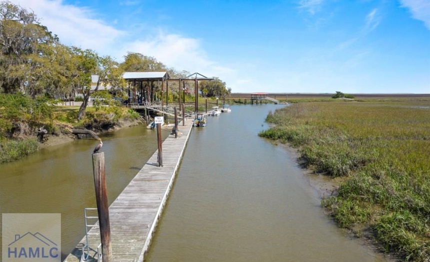 Yellow Bluff Community Dock