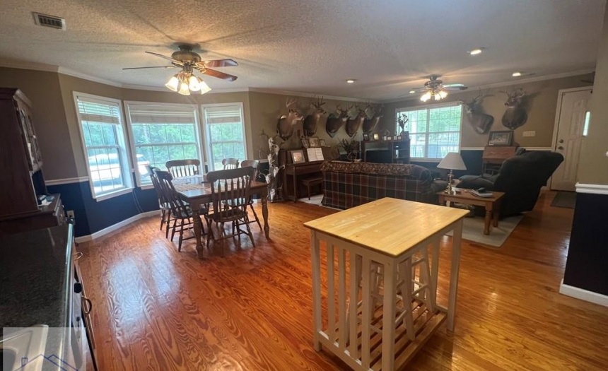 189 Sooner Dr, United States 31545, 3 Bedrooms Bedrooms, 7 Rooms Rooms,2 BathroomsBathrooms,For Sale,Sooner Dr,158695