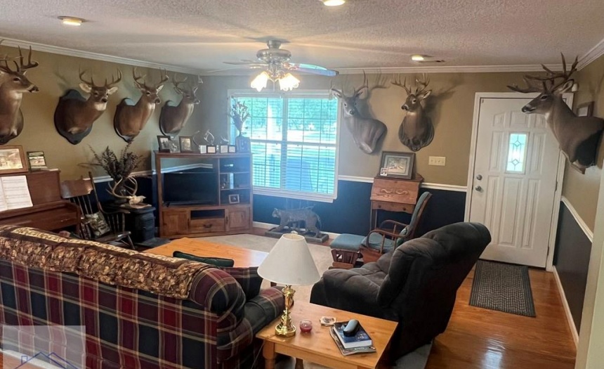 189 Sooner Dr, United States 31545, 3 Bedrooms Bedrooms, 7 Rooms Rooms,2 BathroomsBathrooms,For Sale,Sooner Dr,158695